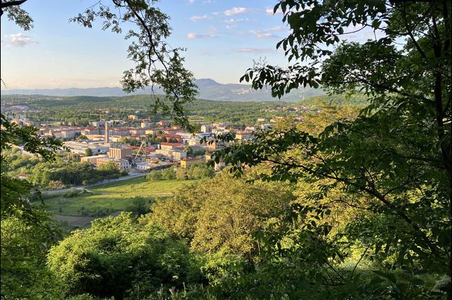 Slika