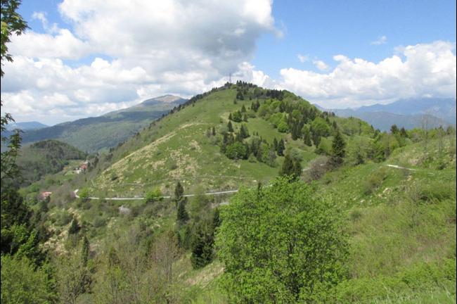 Slika