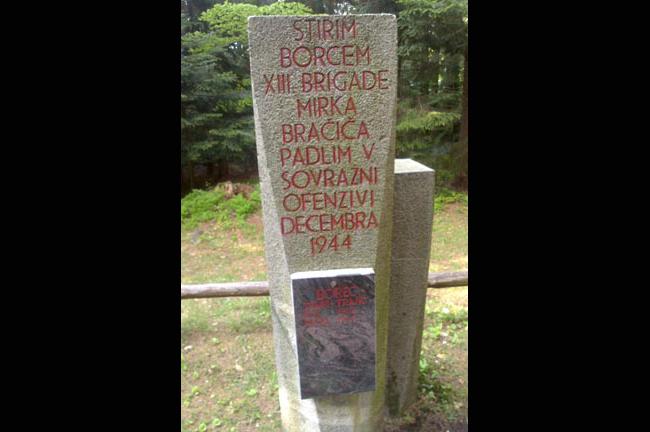 Slika