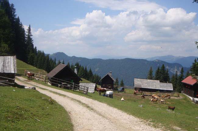 Slika