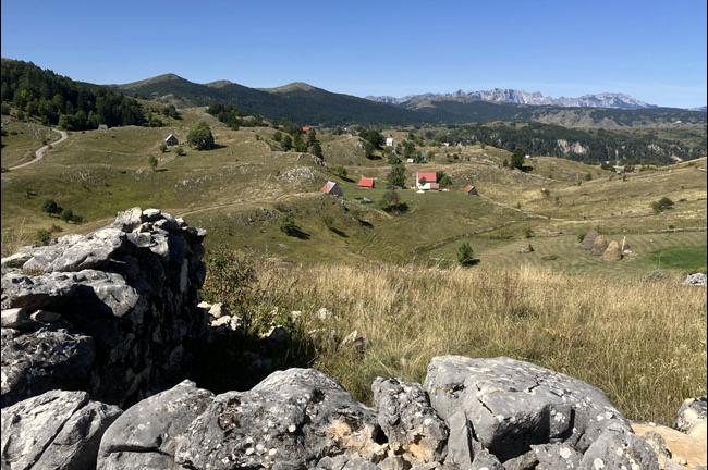 Slika