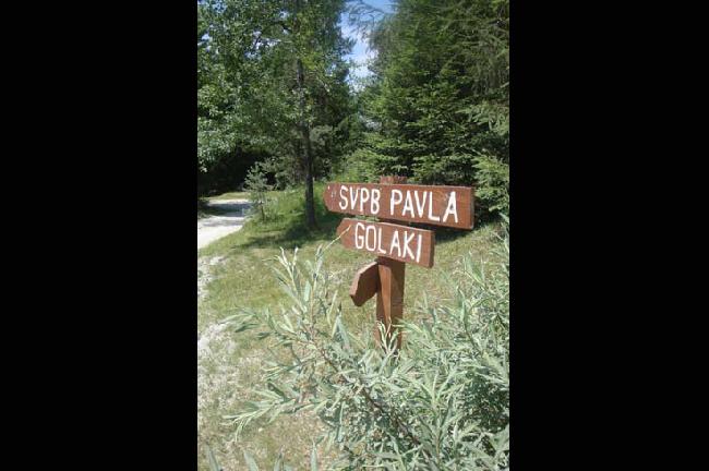 Slika