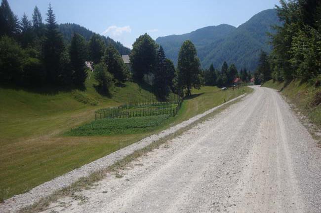 Slika