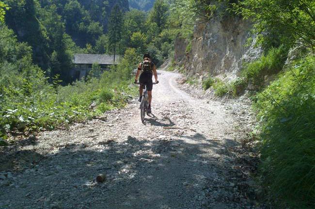 Slika
