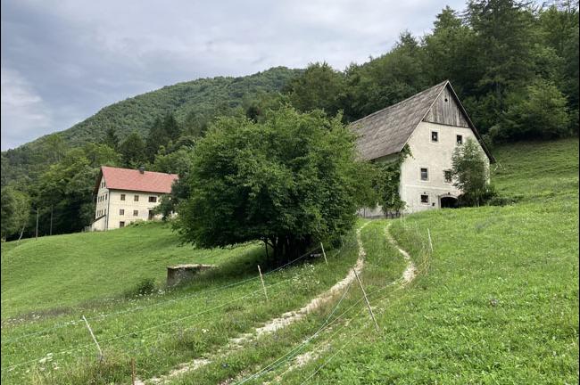 Slika