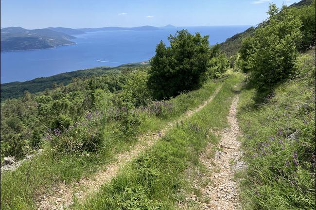 Slika