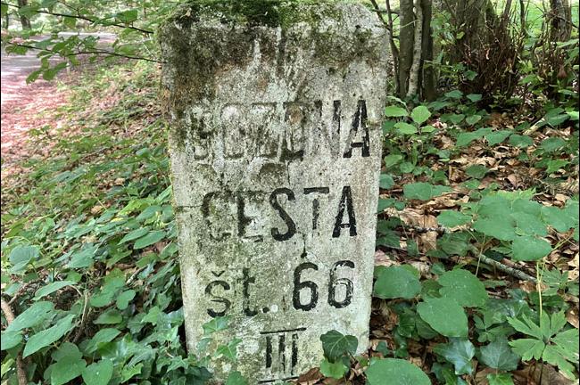 Slika