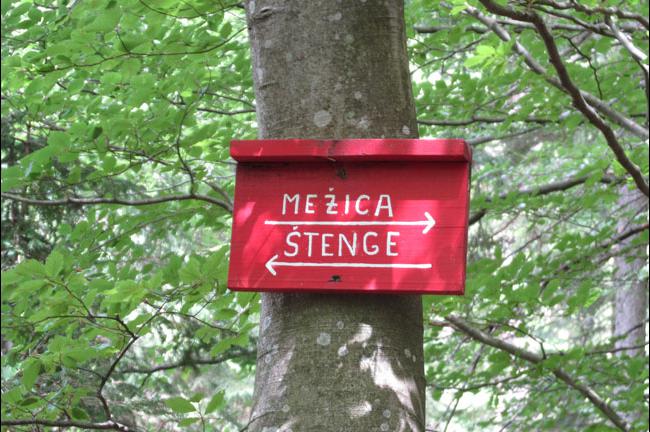 Slika