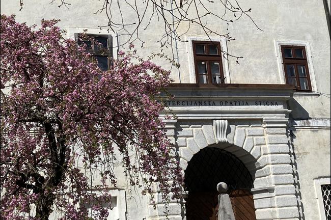 Slika
