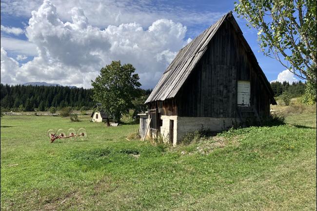 Slika