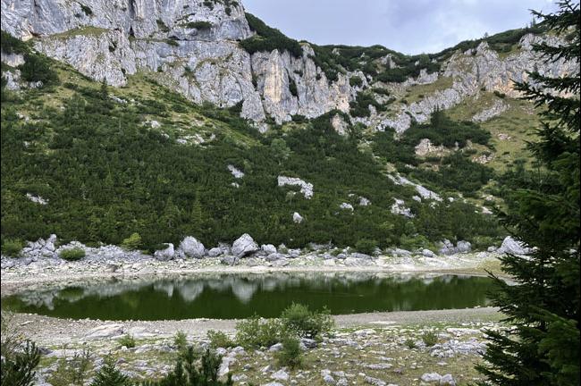 Slika