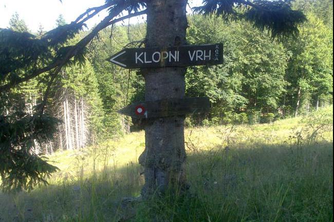 Slika