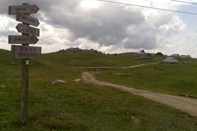Slika