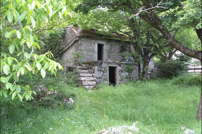 Slika