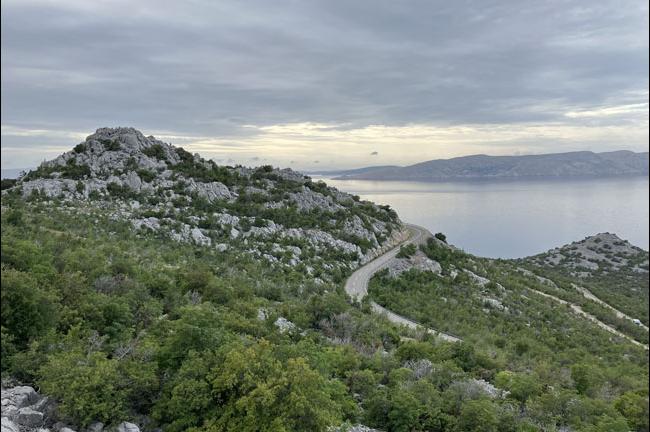 Slika
