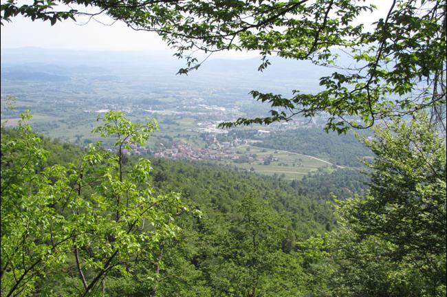 Slika