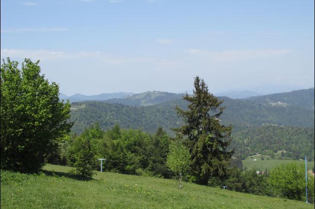 Slika