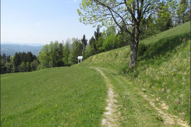 Slika