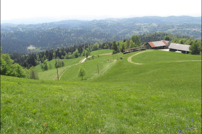Slika