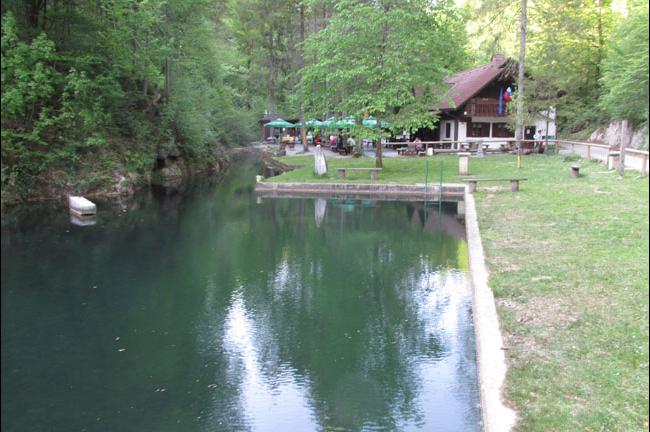 Slika