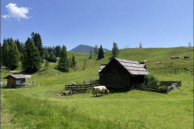 Slika