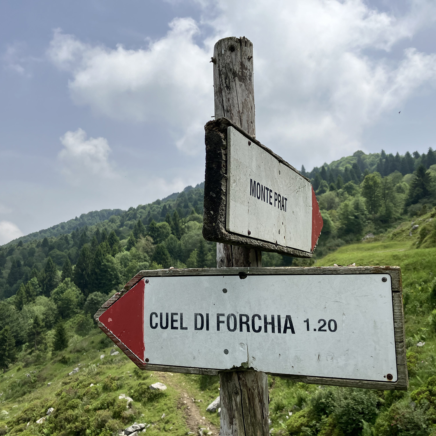 novica